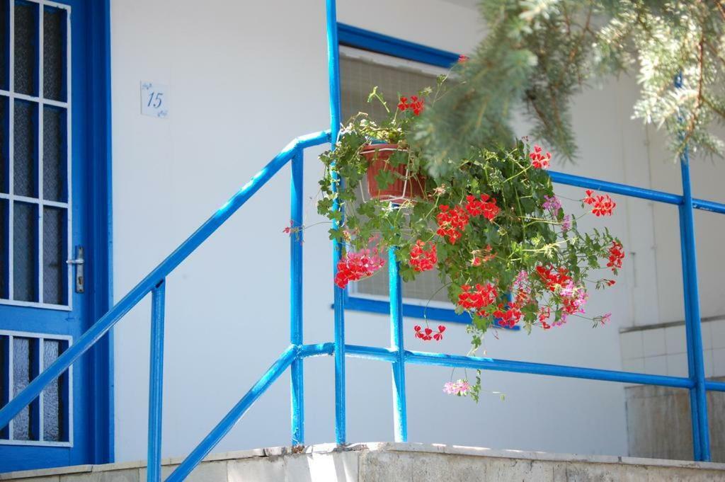 Комплекс Белите Къщи Shtarkelovo Gnezdo 外观 照片
